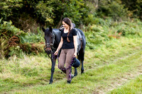 0003_Jess_&_Woody_Equestrian_Pet_Photography_Haywards_Heath_West_Sussex