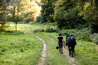 0006_Jess_&_Woody_Equestrian_Pet_Photography_Haywards_Heath_West_Sussex