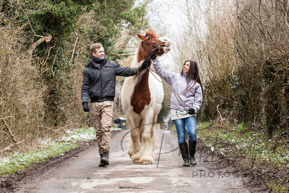 0036_Ben_&_Jasmine_Engagement_Photo_Shoot_With_Horses_Hurstpierpoint_West_Sussex