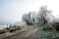 Country Track in Winter- Graffham