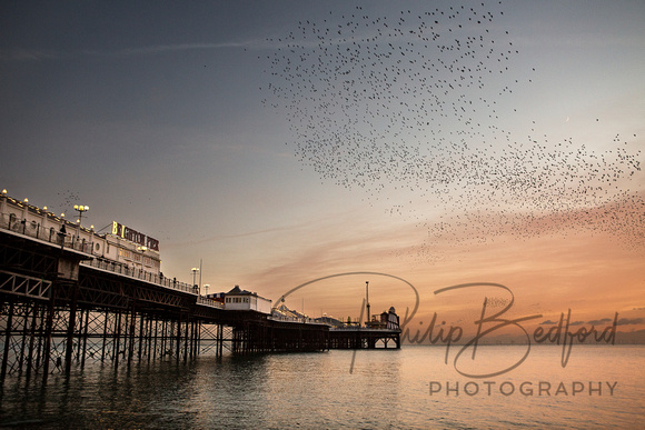 Starling Murmurations over Brighton Pier V