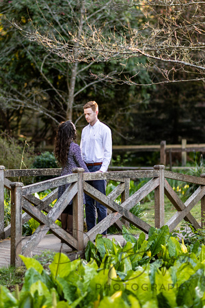 0017_Angela_&_Marty_Tilgate_Forest_Engagement_Shoot_Crawley_West_Sussex