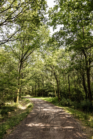 0004_Jess_&_Harry_Two_Woods_Estate_Wedding_Pulborough_West_Sussex