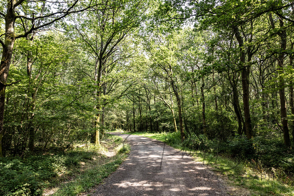 0003_Jess_&_Harry_Two_Woods_Estate_Wedding_Pulborough_West_Sussex
